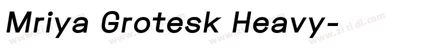Mriya Grotesk Heavy字体转换